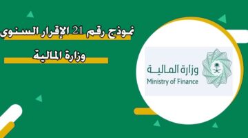 نموذج رقم 21 الإقرار السنوي وزارة المالية
