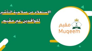 الاستعلام عن صلاحية التأشيرة للوافدين عبر مقيم